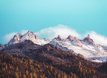 开云中国-媒体人晒女篮赛场片段：女篮以第四名的成绩结束了本届亚洲杯